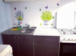 Гостиница Standard Apartment on Umanskaya  Киев